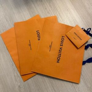 Louis Vuitton paper bag (Multiple)